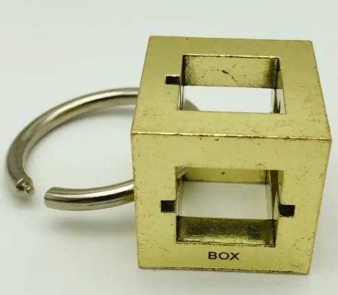 Metal Brain Teaser Puzzle